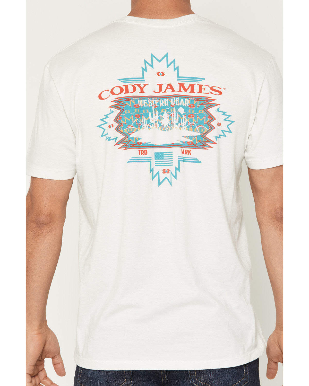 Men's Southwestern Sunset Short Sleeve Graphic T-Shirt Natural