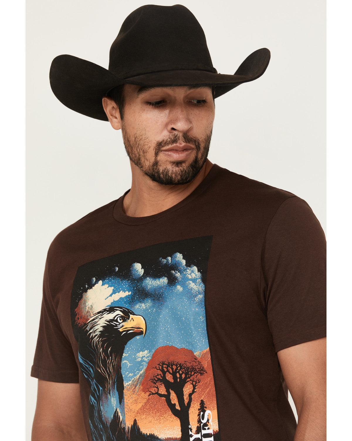 Men's Lookout Eagle Short Sleeve Graphic T-Shirt Dark Brown