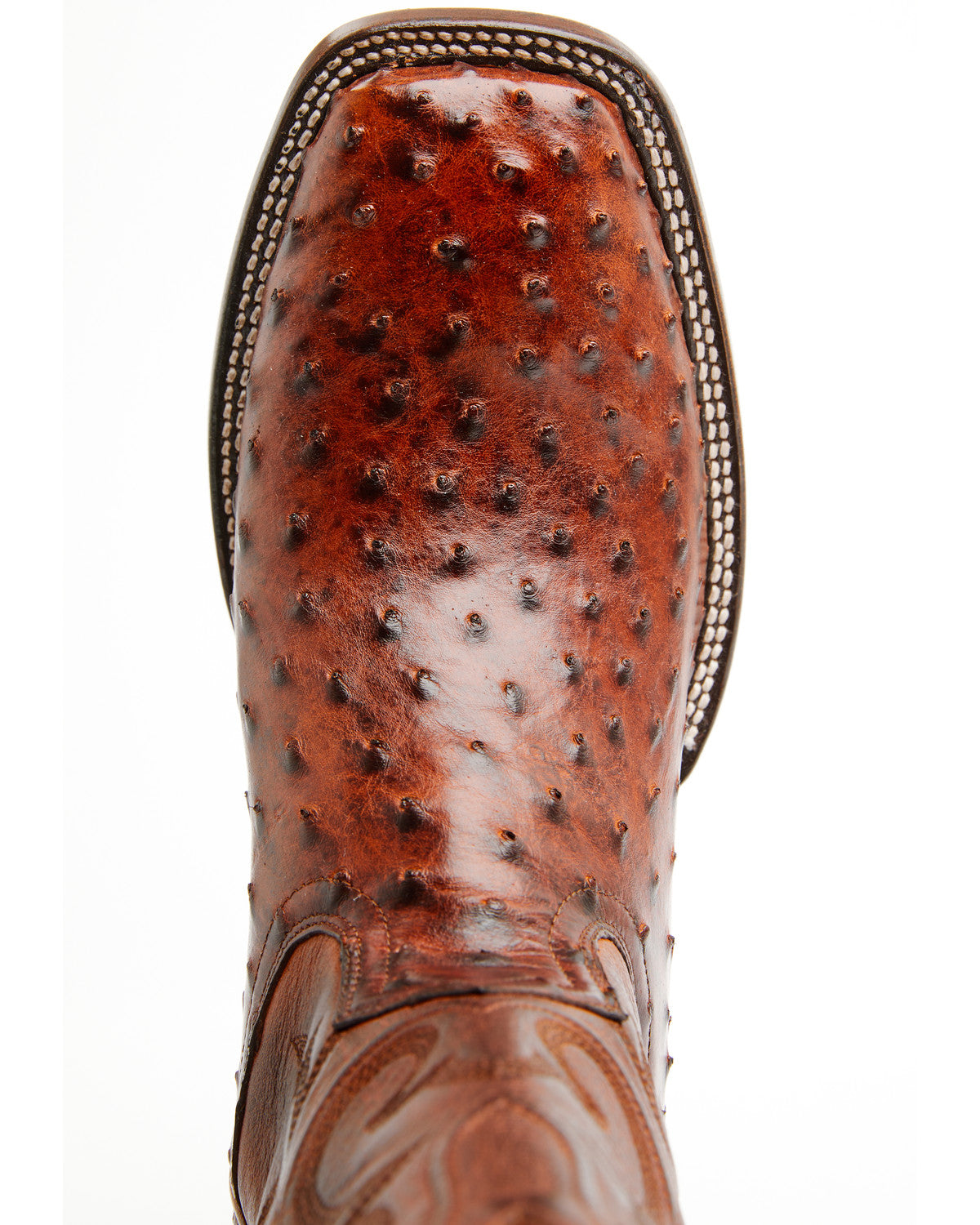 Black 1978® Men's The Hayward Exotic Full Quill Ostrich Wes Cognac