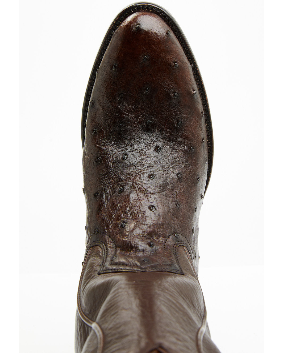 Black 1978® Men's Chapman Exotic Full-Quill Ostrich Western Brown