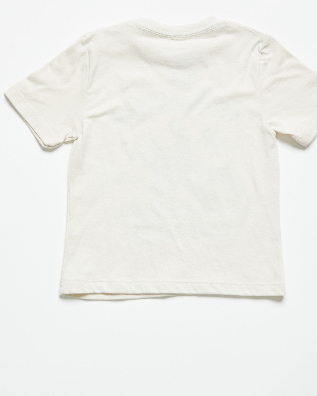 Toddler Boys' Lil Buckaroo Short Sleeve Graphic T-Shirt Natural