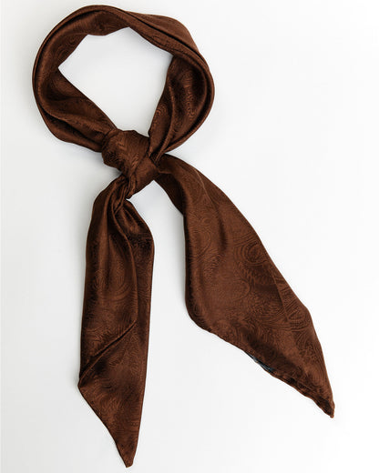 Men's Silk Wild Rag Scarf Brown