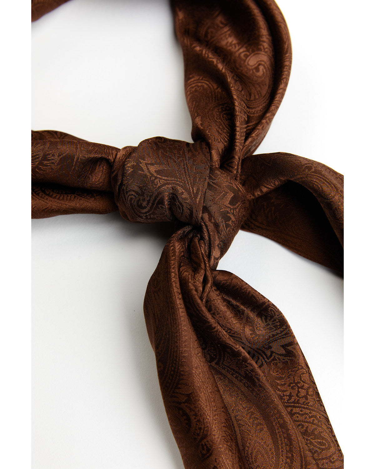 Men's Silk Wild Rag Scarf Brown