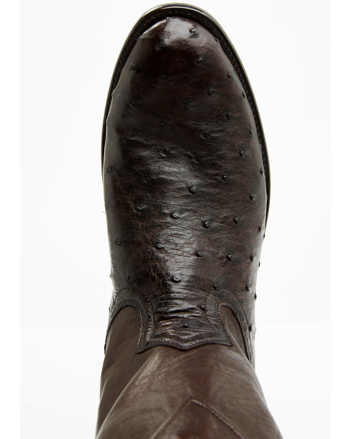 Black 1978® Men's Carmen Exotic Full-Quill Ostrich Roper Bo Chocolate