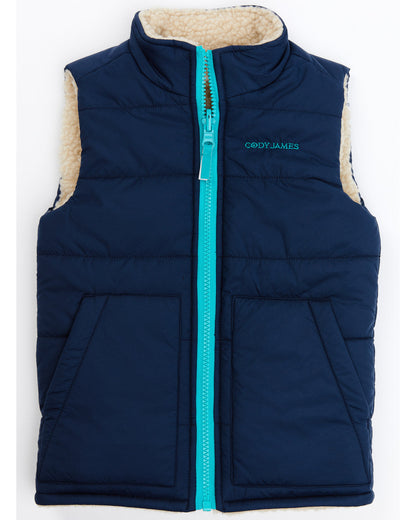 Toddler Boys' Reversible Puffer Vest Dark Blue
