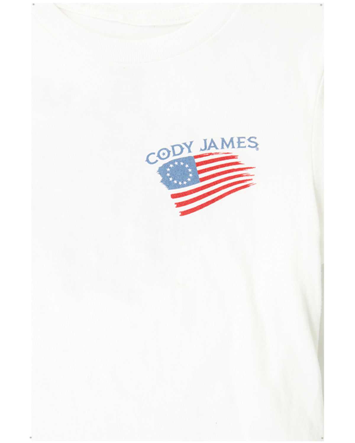 Toddler Boys' Heritage Short Sleeve Graphic T-Shirt White
