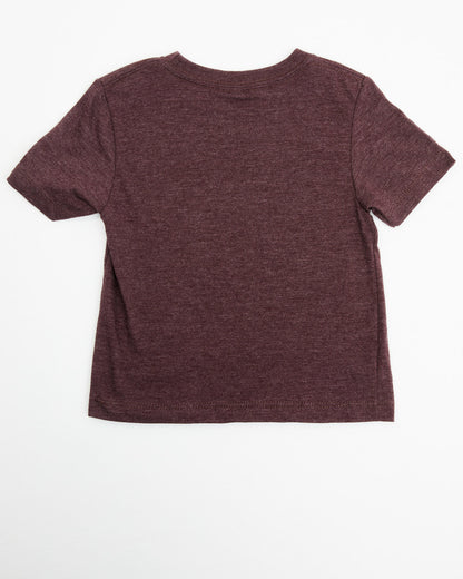 Toddler Boys' Born To Ride Short Sleeve Graphic Tee Burgundy
